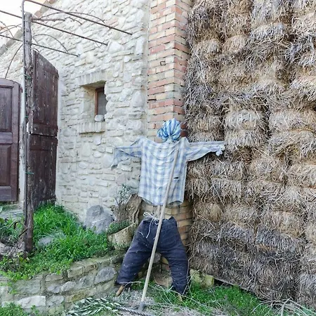 Апартаменты Agriturismo Caniloro *